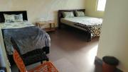 Top New Hampi