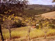 Top Monte Verde