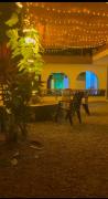 Top Alleppey