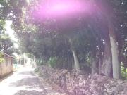 Top Ishigaki Island