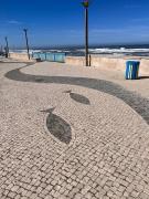 Top Vieira de Leiria