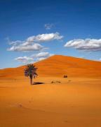 Morocco Sahara Camp