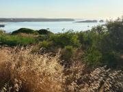 Top Sagres Top Sagres