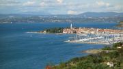 Top Izola