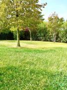 Top Bardolino