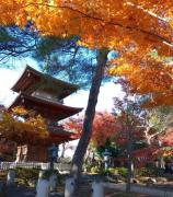Top Tokyo