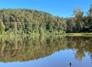 Top Valdivia