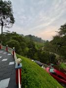 Top Wayanad