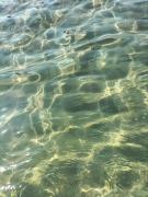 Top Lesina
