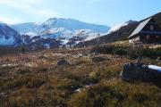 Top Zakopane