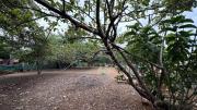 Phurbas Homestay