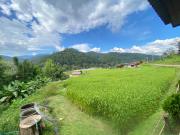 pedo Homestay2