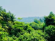 Top Ratnagiri