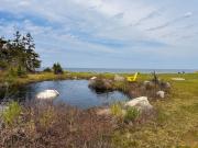 Top Shelburne Top Shelburne