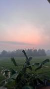 Top Nedumbassery