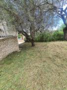 Top Aragona
