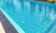 Top Yelagiri