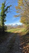 Top Giaveno