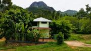 Top Wayanad