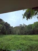 Top Wayanad