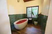 Top Alleppey Top Alleppey