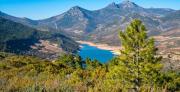 Top Cañamero
