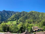 Apartment Wohnung mit Bergblick by Interhome