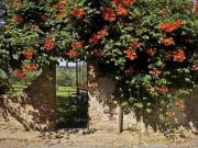 bcceddcbaacaccba - Apartment Girasole Capponi