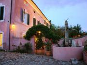 Top Vallecchia Top Vallecchia