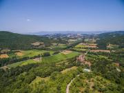 Top Monterchi