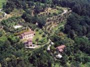 Top Massa e Cozzile