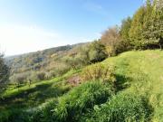 Top San Gennaro