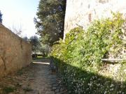 Top San Gennaro