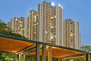 Top Thane