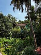 Top Agonda