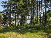 Top East LaHave