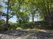 Top East LaHave