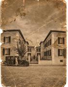 Marruvium 1937s