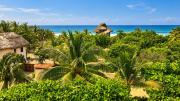 Top Troncones