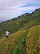 Top Sa Pa