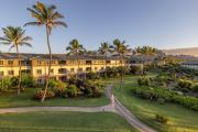 Top Koloa