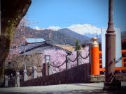 Top Hida