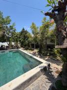 Top Pulau Temukus