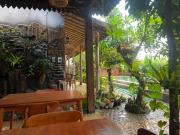 Top Pulau Temukus