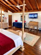 Cozy 3 of 5 Apartment Penthouse in the Heart of Ochi
