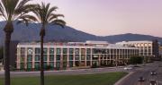 Top Arcadia