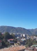 Top Solan