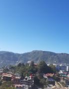 Top Solan
