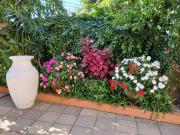 Corredoura Garden