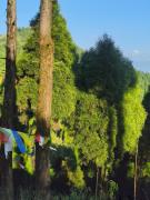 Top Sukhia Pokhari